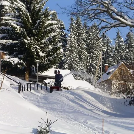 Ferienhaus-elfi Eisenbach (Breisgau-Hochschwarzwald)