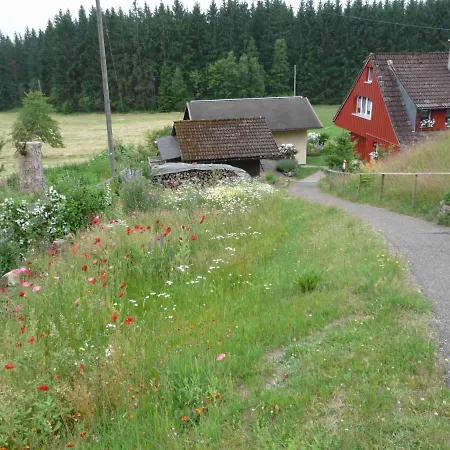 Holiday home Ferienhaus-elfi Eisenbach (Breisgau-Hochschwarzwald)